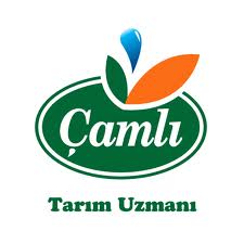 ÇAMLI YEM